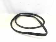 Türgummi links vorne MERCEDES-BENZ C-Klasse T-Modell (S205) A2056970051