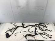 Kabel Motor NISSAN Qashqai II (J11) 24011HV71C