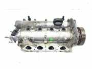 Zylinderkopf SEAT Ibiza III (6L) 036103351P