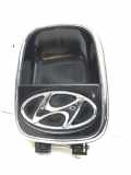 Heckklappengriff HYUNDAI i10 (PA) 81720-0X020