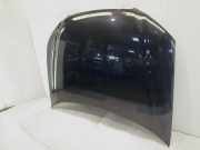 Motorhaube AUDI A3 (8P) 8P0823029E