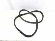 Türgummi rechts hinten MERCEDES-BENZ C-Klasse T-Modell (S205) A2054697025