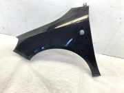 Kotflügel links vorne SKODA Fabia II (542) 5J0821021A