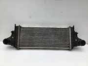 Ladeluftkühler MERCEDES-BENZ M-Klasse (W164) A1645001900