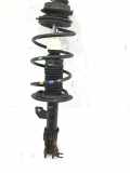 Federbein links vorne FIAT Panda (169) RHA-71775962-AM