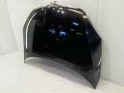Motorhaube SKODA Fabia II (542) 5J0823031A