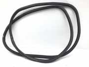 Türgummi links vorne PORSCHE Cayenne 1 (9PA) 7L0867365E