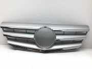 Kühlergrill MERCEDES-BENZ B-Klasse Sports Tourer (W245) A1698881660