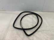 Türgummi links VW Polo III (6N2) 6N3867365K