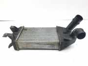 Ladeluftkühler OPEL Zafira B (A05) 13213402