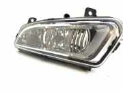 Nebelscheinwerfer links VW Polo V (6R, 6C) 6R0941061B