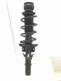 Federbein rechts vorne SKODA Fabia II (542) 6Q0413031BJ