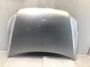 Motorhaube VW Polo V (6R, 6C) 6R0823031G