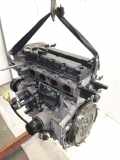 Motor ohne Anbauteile (Benzin) FORD C-Max II (DXA) C16HDEZ