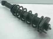 Federbein rechts hinten TOYOTA Corolla Verso (R1) 48530-0F020
