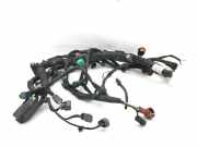 Kabelbaum NISSAN Note (E11) 1.4 65 kW 88 PS (03.2006-06.2012)