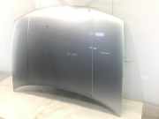 Motorhaube VW Golf IV (1J)