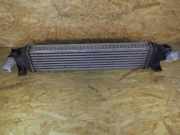 Ladeluftkühler FORD Focus C-Max (C214) 3M5H92440AE