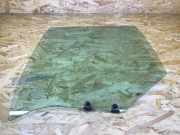 Türscheibe links hinten RENAULT Clio II (B)