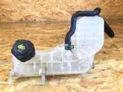 Behälter Kühlwasser RENAULT Laguna III Grandtour (T) 217100014