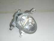 Nebelscheinwerfer links PEUGEOT 206 Schrägheck (2A/C)