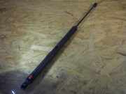 Gasfeder für Motorhaube MERCEDES-BENZ C-Klasse (W203)