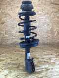 Federbein links vorne RENAULT Clio II (B) 230271