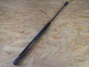 Heckklappendämpfer CITROEN C2 9641721980