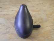 Antenne Dach CITROEN C2