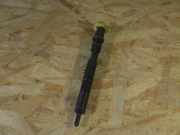 Einspritzdüse AUDI A4 Avant (8E, B7) 043213786