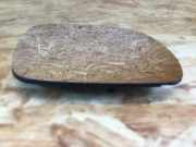 Außenspiegelglas rechts VW Golf IV (1J)