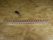 Zusatzbremsleuchte VW Golf V Plus (5M, 521)