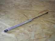 Gasfeder für Motorhaube VW Polo IV (9N, 9A)