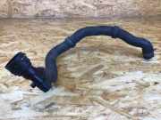 Kühlerschlauch VW Fox Schrägheck (5Z) 6Y0121086F