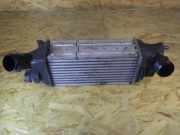 Ladeluftkühler PEUGEOT 407 SW 9645682880