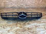 Kühlergrill MERCEDES-BENZ A-Klasse (W169) A1698881260