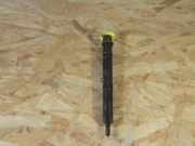 Einspritzdüse AUDI A4 Avant (8E, B7) 043213786