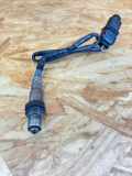 Lambdasonde VW Touareg I (7L) 059906262B