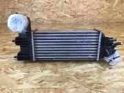 Ladeluftkühler PEUGEOT 607 9637809480