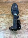 Federbein rechts vorne SUZUKI Ignis III (MF) 4160173SD0