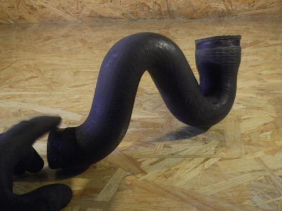 Ladeluftschlauch VW Passat B5 Variant (3B5) 8D0145823C Bild Ladeluftschlauch VW Passat B5 Variant (3B5) 8D0145823C