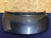 Motorhaube RENAULT Espace IV (K)