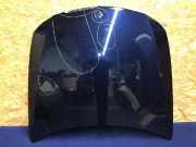 Motorhaube BMW 3er Touring (E91) VERGLEICHSNR: 41617140729