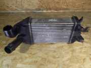 Ladeluftkühler OPEL Zafira B (A05) 13213402