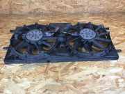 Elektrolüfter RENAULT Laguna III Grandtour (T) 214810046