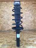 Federbein rechts vorne VW Golf IV (1J) 315087