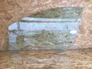 Türscheibe links vorne SMART Forfour (454)