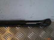 Wischerarm hinten FIAT Brava (182)