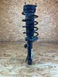 Federbein rechts vorne FORD Fiesta V (JH, JD) 2S6118045DD
