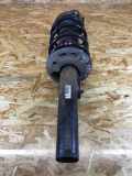 Federbein rechts vorne VW Golf V Plus (5M, 521) 1T0413031DS